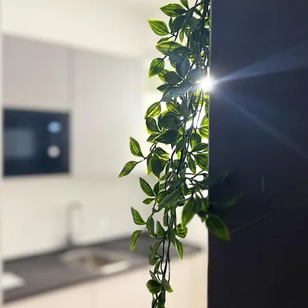 Modern Urban Escape Apartment Turin